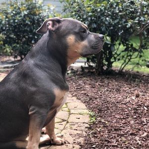 Meet your Posher, Caleb